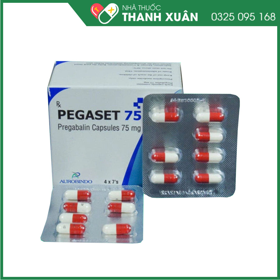 Thuốc Pegaset 75 điều trị đau thần kinh ở người lớn, động kinh cục bộ hoặc rối loạn lo âu ở người lớn